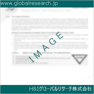 グローバルリサーチ調査資料のイメージ